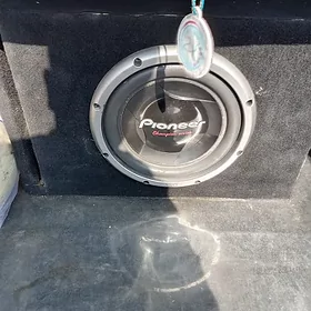 Pioneer