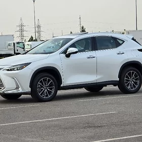 Lexus NX 350 2025