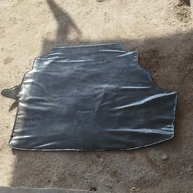 Bagaz kobrik