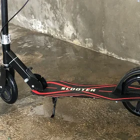 scoter