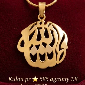 Altyn Kulon
