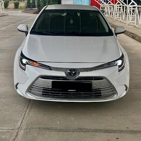 Toyota Corolla 2025