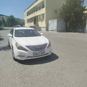 Hyundai Sonata 2010