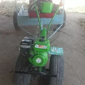 MTZ 80 2015