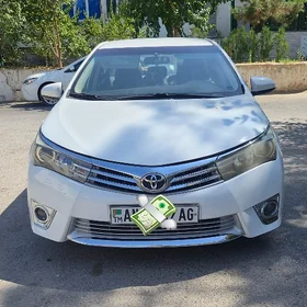 Korolla Haliji Zapchaslary