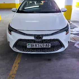 Toyota Corolla 2020