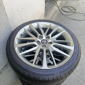 19 disga pakrysga