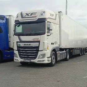 DAF 480 2019