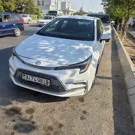 Toyota Corolla 2023