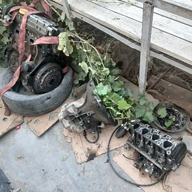 opel mator 16 yumurta