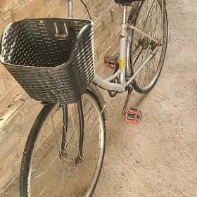 tigir welsepet welik 27 kama