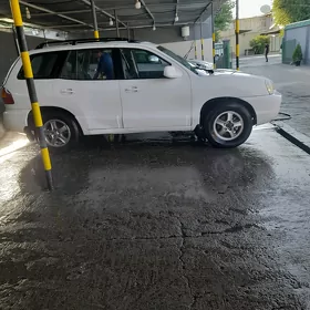 Hyundai Santa Fe 2004
