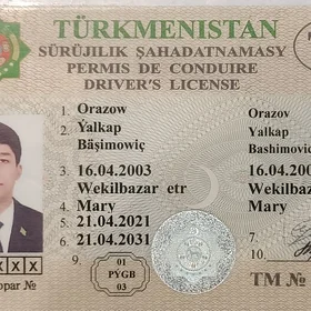 prawa yitdi