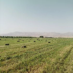 Baherdene suwçy işgär gerek