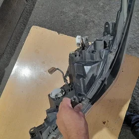 korola far Cep morda kon 13 mi