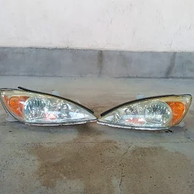 DUTY CAMRY FARA original
