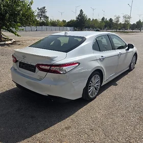 Toyota Camry 2019