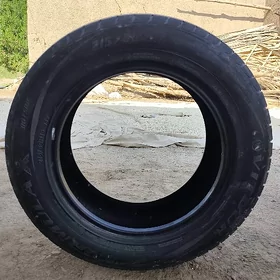 Teker 215*60*16