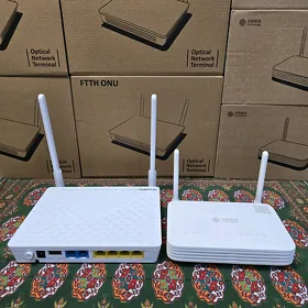 Gpon router