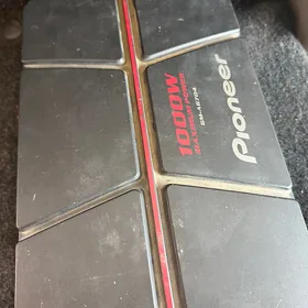 pioneer