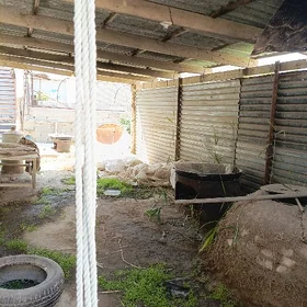 tamdyr somsaci yapyji komekji