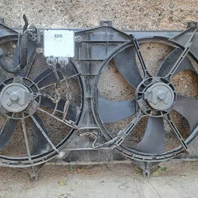 Difizor radiatoryñ ventilätory