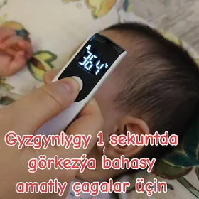 Termometr, термометр, gyzgyn