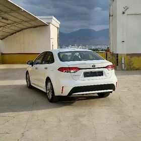 Toyota Corolla 2021