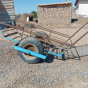 taçga