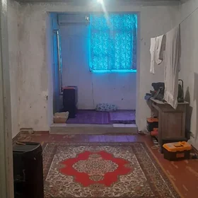 Satlyk kwartira