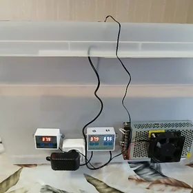 Inkubator
