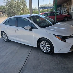 Toyota Corolla 2023