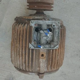 mator elektrodwigatel