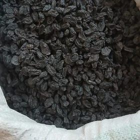 kismis