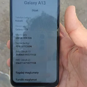 Samsung a13