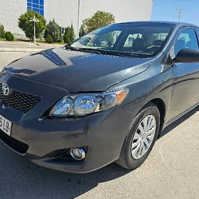 Toyota Corolla 2010