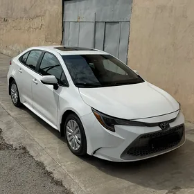 Toyota Corolla 2020