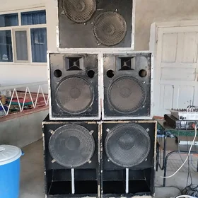 Toy kalonkalar