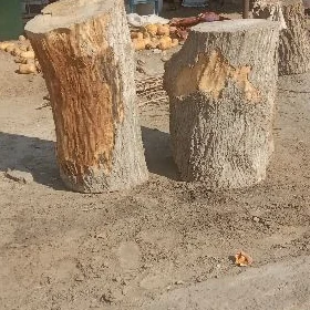 agac töññe