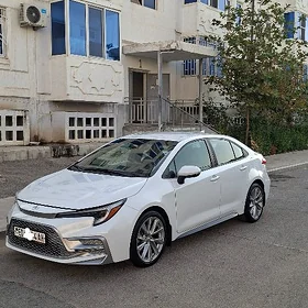Toyota Corolla 2023
