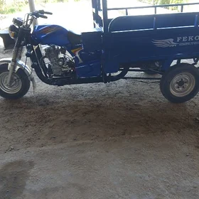 Fekon FK150-8G 2012