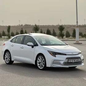 Toyota Corolla 2019