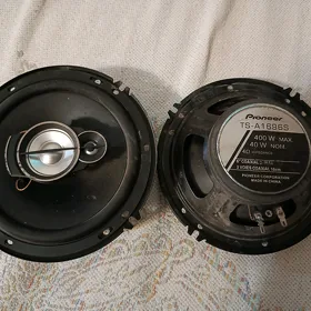 Pioneer