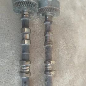 Wanus avlon mator