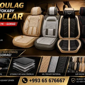 sidelni chollar