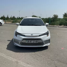 Toyota Corolla 2020