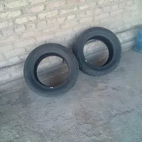 16 lyk pakrişga