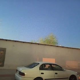 Toyota Corona 1995