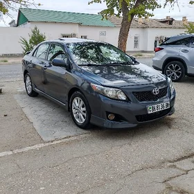 Toyota Corolla 2010