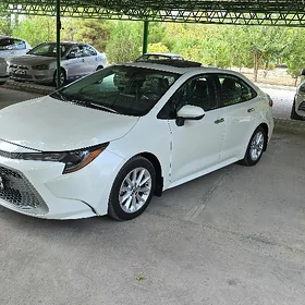 Toyota Corolla 2021